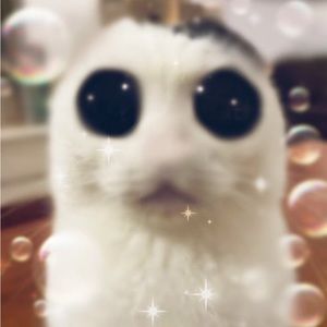 Meet your Posher, Aiden